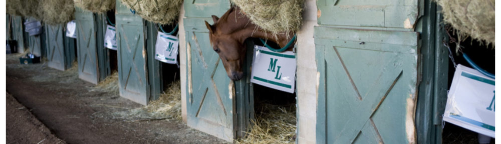 Michael E. Lauer Racing Stables